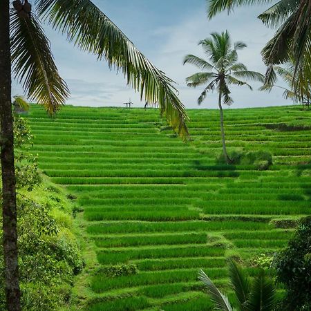 Be Bali Stay Убуд Екстер'єр фото