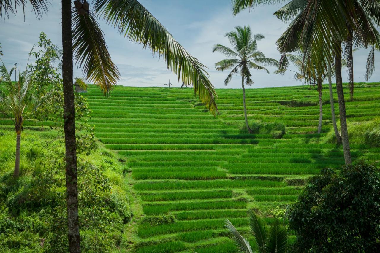 Be Bali Stay Убуд Екстер'єр фото